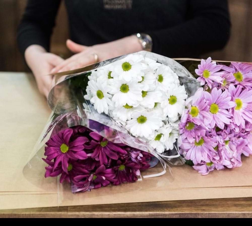 Chrysanthemums